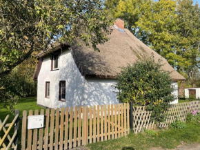 Ferienhaus mit Reetdach, Ummanz
